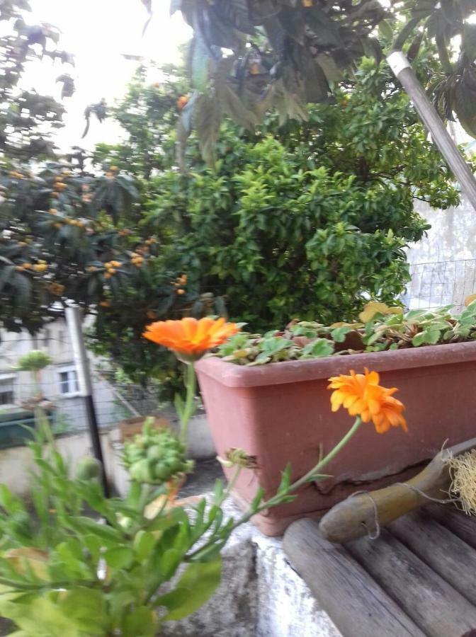 Apartamento The Country In The Town Lisboa Exterior foto